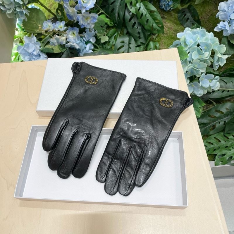 Christian Dior Gloves